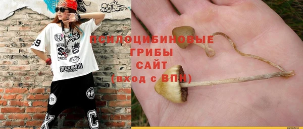 a pvp Абаза