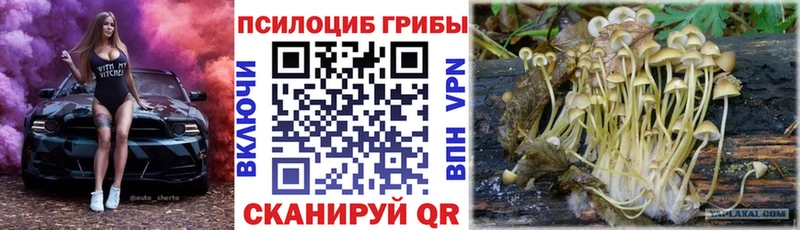 Псилоцибиновые грибы Psilocybe Отрадное