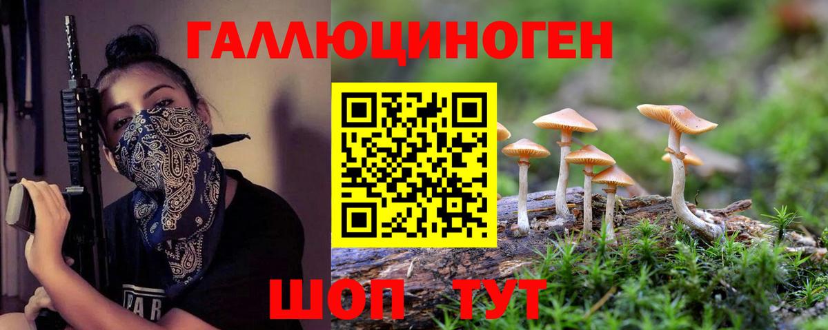 Галлюциногенные грибы ЛСД  Псилоцибиновые грибы Psilocybine cubensis  Отрадное  Вход с VPN 